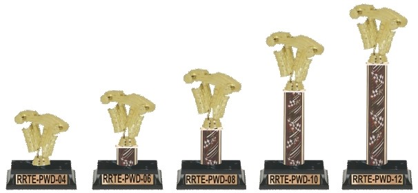 Pinewood Derby trophies