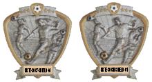 soccer shield trophy