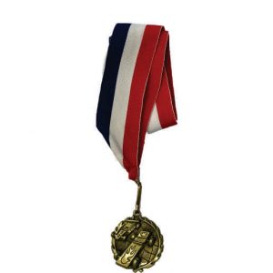 Gold Pinewood Derby® Medal